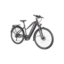 GEPIDA E BIKE ALBOIN CURVE TR XT 10 Sötétt lilla