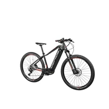 GEPIDA E BIKE GEPIDA RUGA 29 PRO DEORE 12 MATT FEKETE