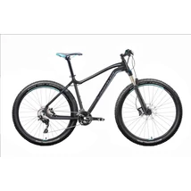 GEPIDA ASGARD 29"