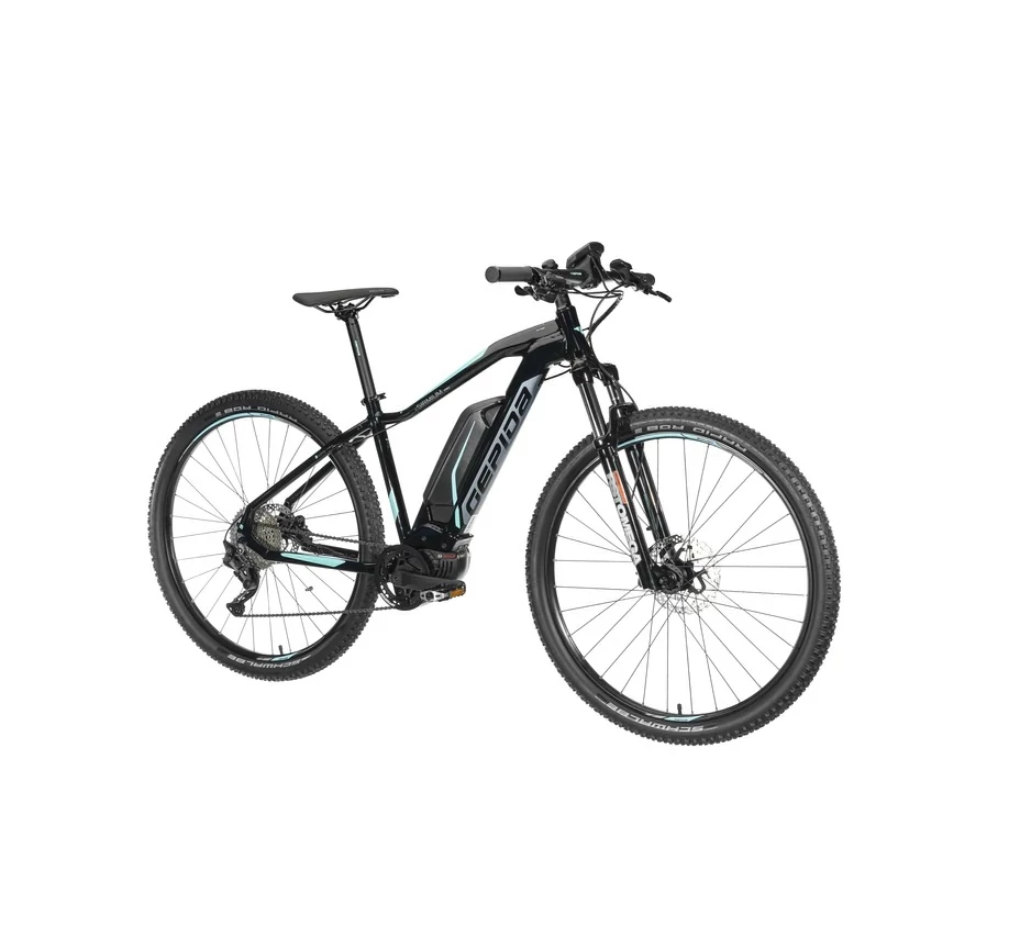 GEPIDA E BIKE SIRMIUM 29